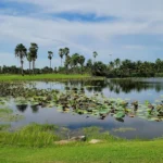 thailand_bangkok_suwan_golf_country_club3